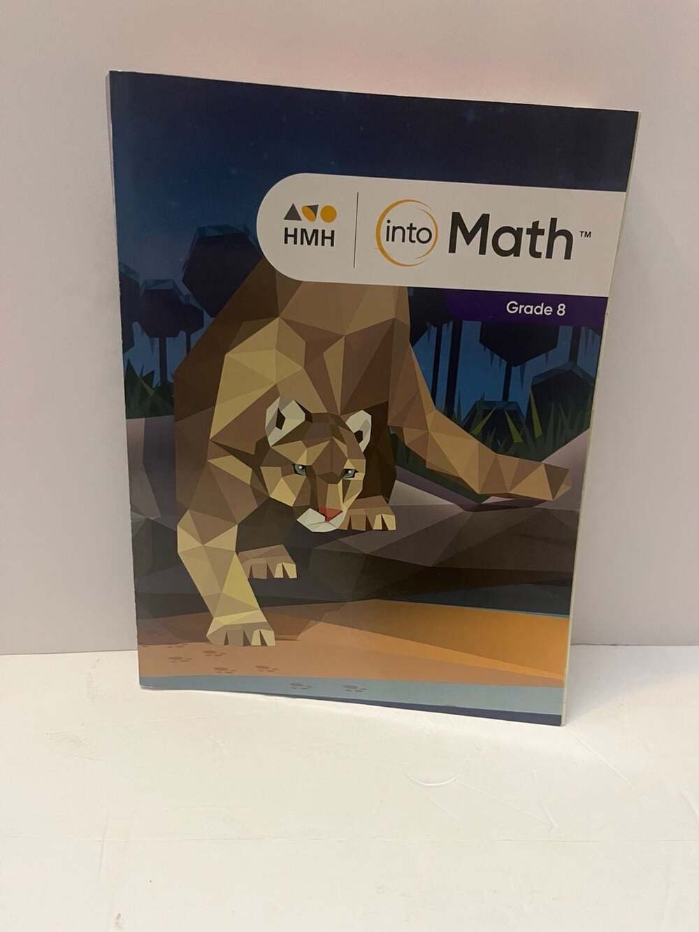 Houghton Mifflin Harcourt Into Math Grade 8 Student Textbook